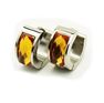 Picture of Huggie Earrings Stainless Steel Polished