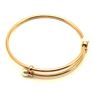 Picture of Rose Bangle Stainless Steel IP Plating