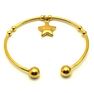 Picture of Charm Star Bangle Stainless Steel Plating