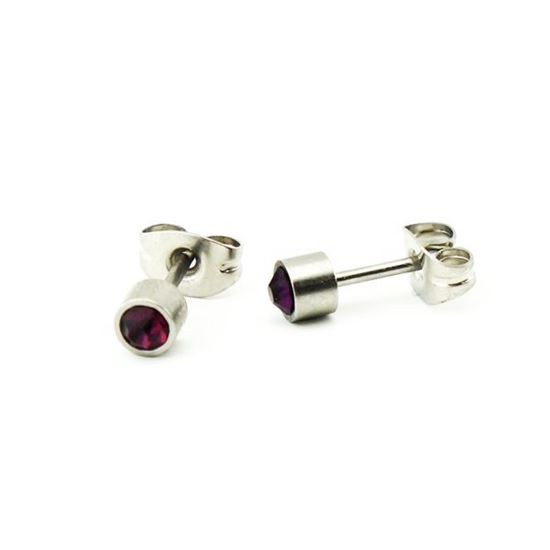 Picture of Purple Crystal Stud Earrings Stainless Steel