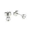 Picture of Stud CZ Earrings Stainless Steel