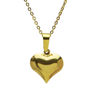 Picture of Gold Heart Necklace Stainless Steel